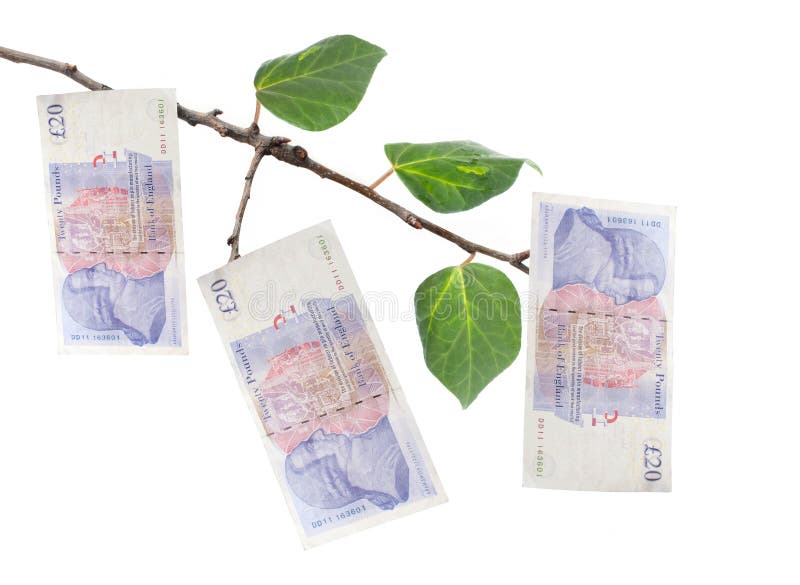 Money tree