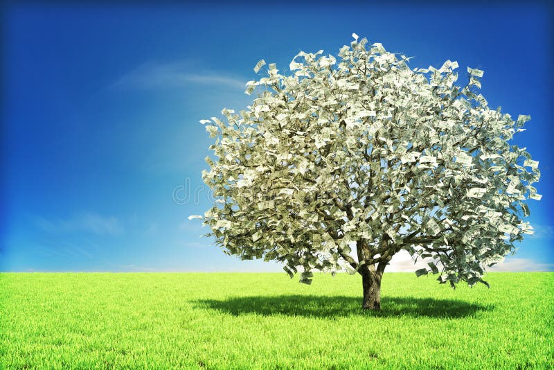 43,663 Money Tree Stock Photos - Free & Royalty-Free Stock Photos from Dreamstime 43,663 Money Tree Stock Photos - Free & Royalty-Free Stock Photos from Dreamstime