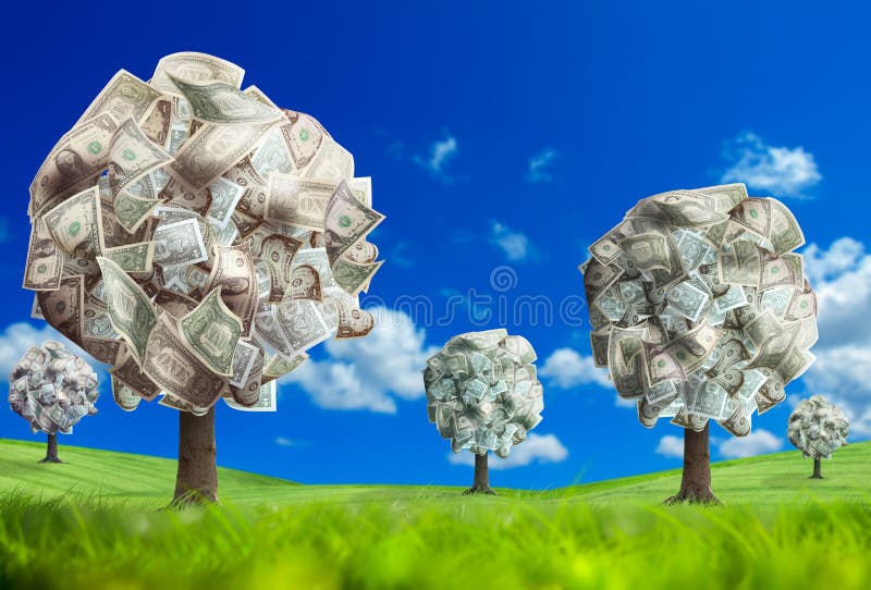 money tree on green landscape