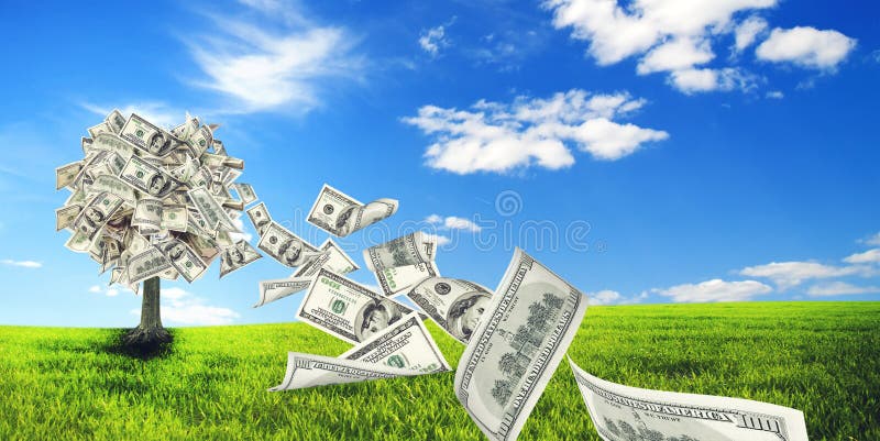 43,663 Money Tree Stock Photos - Free & Royalty-Free Stock Photos from Dreamstime 43,663 Money Tree Stock Photos - Free & Royalty-Free Stock Photos from Dreamstime