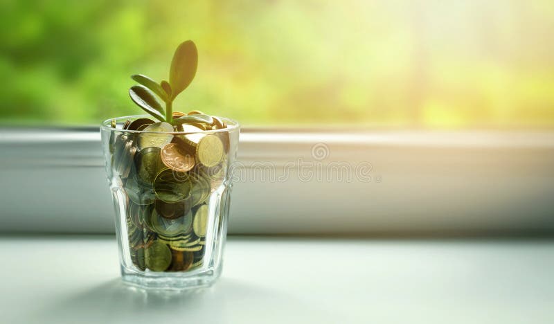 Money tree growing out of coin jar on sunny window sill - savings, investment and retirement fund concept