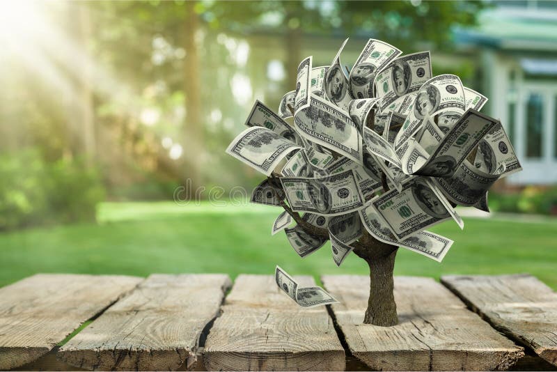 41,202 Money Tree Photos - Free & Royalty-Free Stock Photos from Dreamstime