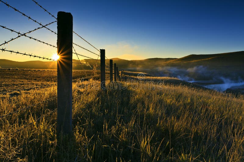 Mongolia steppe