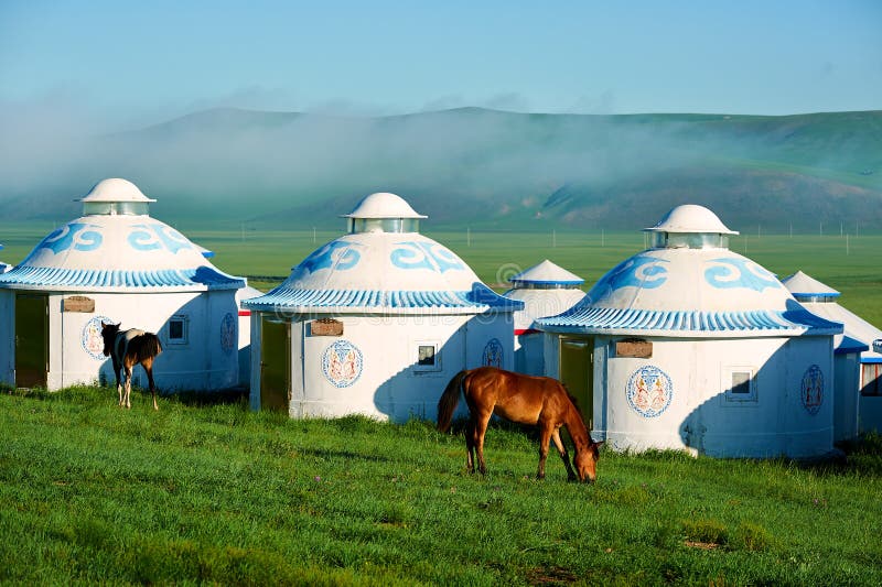 The Mongolia yurts and horses on the green summer grassland stock image The Mongolia yurts and horses on the green summer grassland stock image