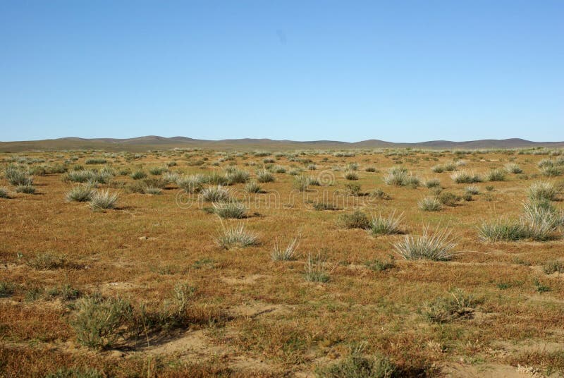 Mongolian steppe