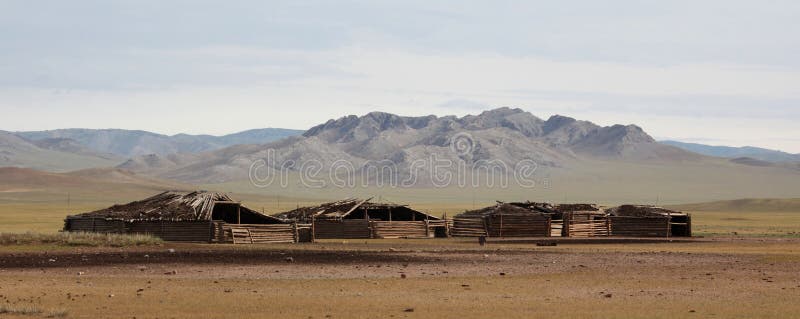 Mongolischer Hund stockfoto. Bild von hund, berge, berg 27364268