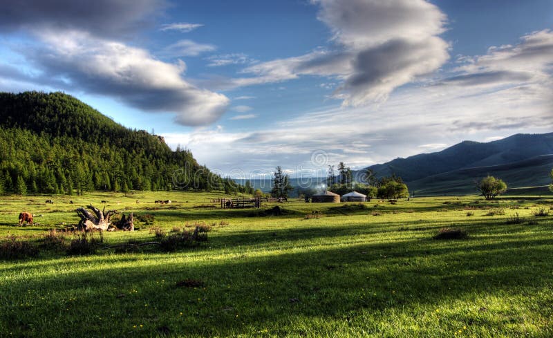 Mongolischer Hund stockfoto. Bild von hund, berge, berg 27364268