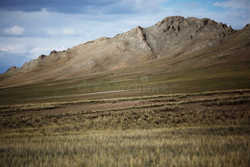Mongolischer Hund stockfoto. Bild von hund, berge, berg 27364268