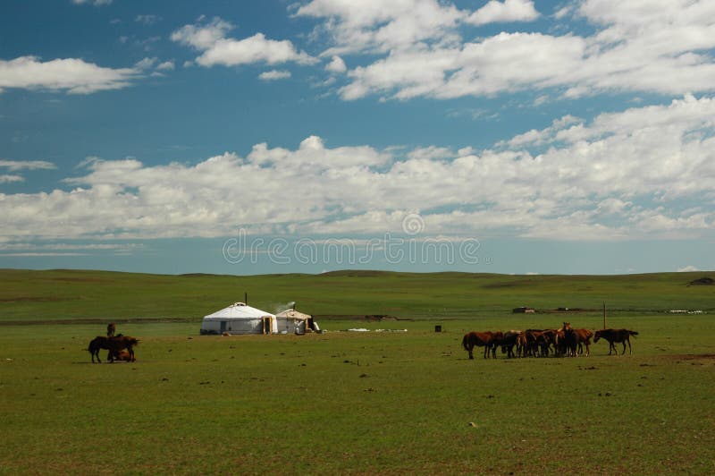 Typical mongolian landscape and steppe with horses and yurt. Typical mongolian landscape and steppe with horses and yurt