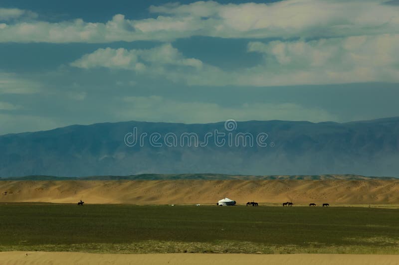 Typical mongolian landscape and steppe with horses and yurt. Typical mongolian landscape and steppe with horses and yurt