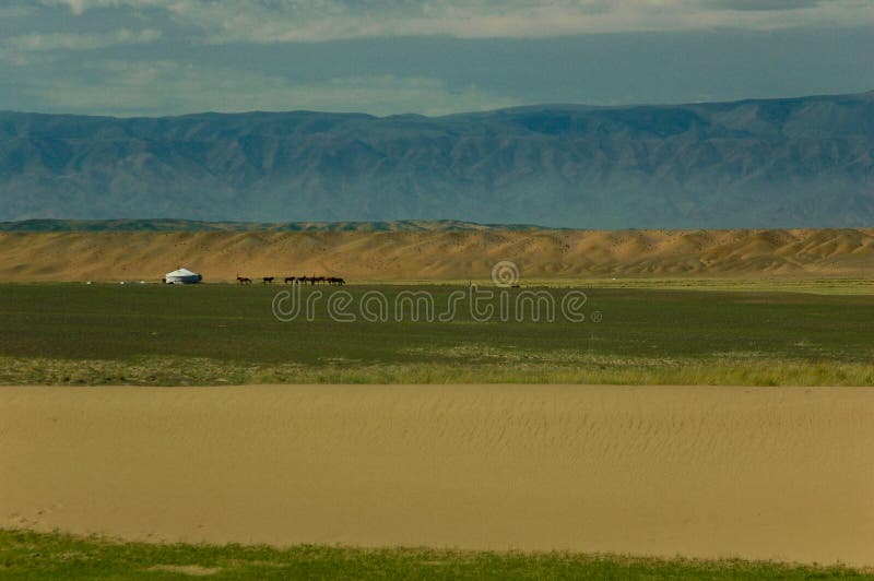 Typical mongolian landscape and steppe with horses and yurt. Typical mongolian landscape and steppe with horses and yurt