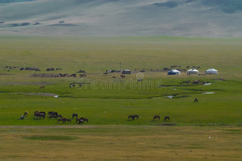 Typical mongolian landscape and steppe with horses and yurt. Typical mongolian landscape and steppe with horses and yurt