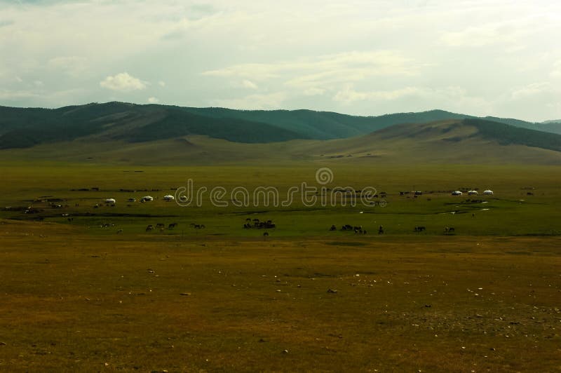 Typical mongolian landscape and steppe with horses and yurt. Typical mongolian landscape and steppe with horses and yurt
