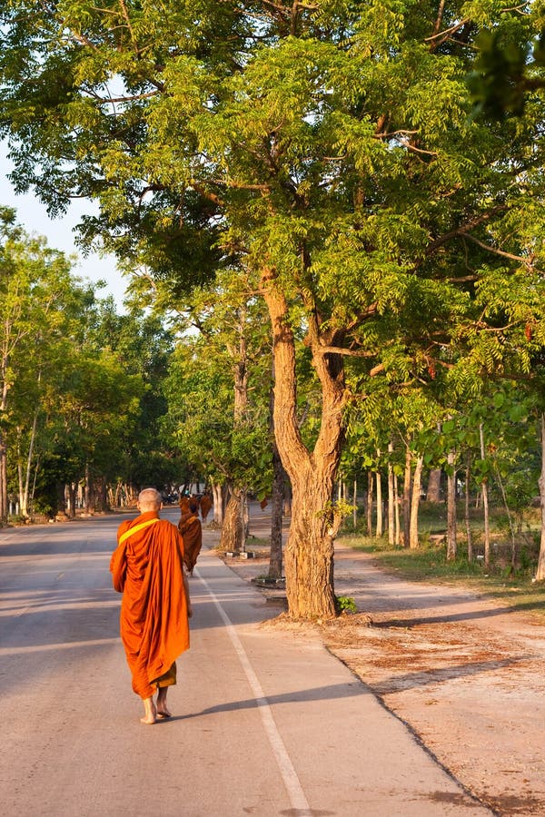 Monk in the morning