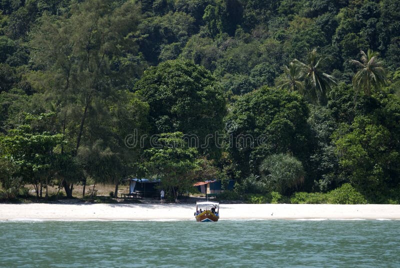 Monkey Beach, Penang National Park, Malaysia Stock Image - Image of