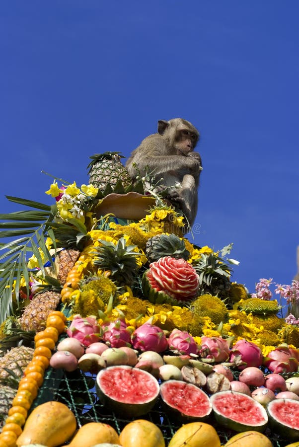 Monkey Buffet Festival in Thailand Stock Photo - Image of merit, asia:  19914716