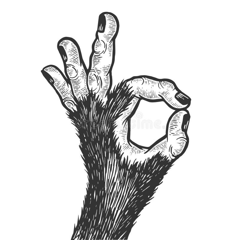 chimpanzee hand drawing chimpanzee hand drawing