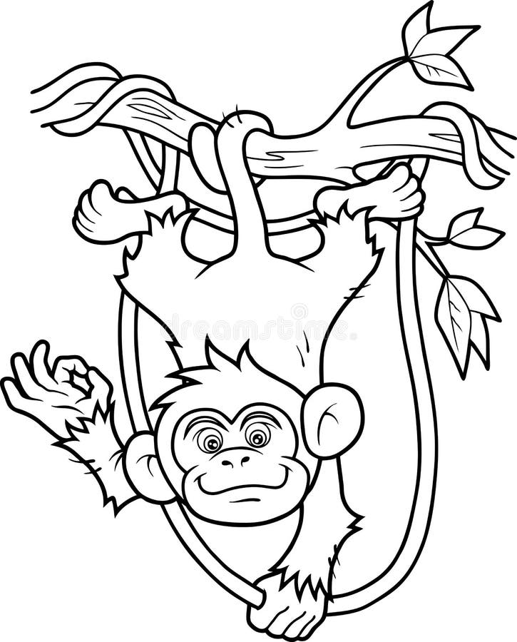 Monkey Tree Stock Illustrations 5616 Monkey Tree Stock