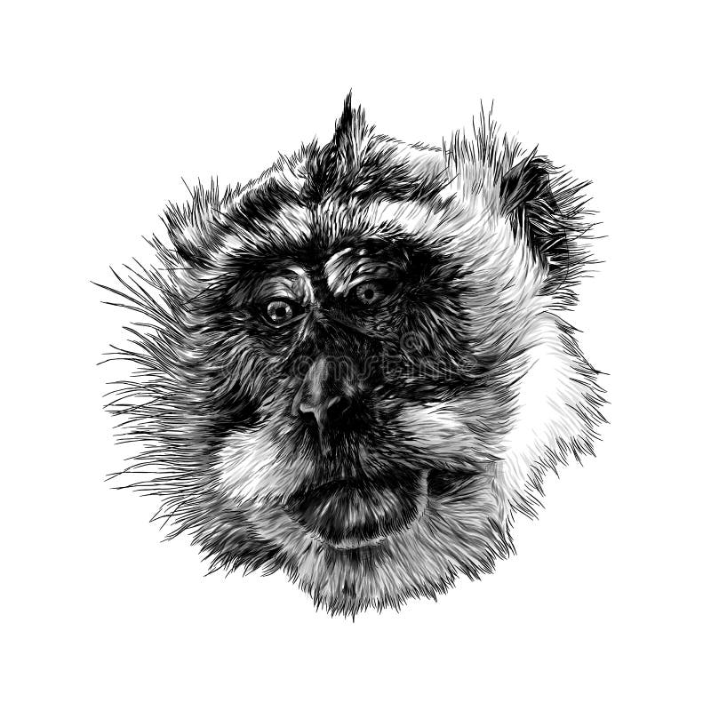 downcast anime face drawing downcast anime face drawing