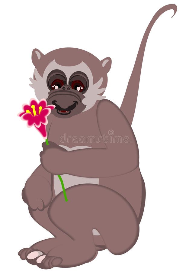 Monkey is holding a flower stock illustration. Illustration of white