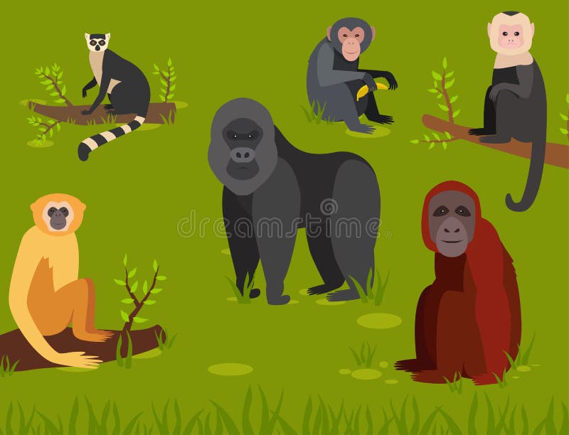 Jogo De Aprendizagem De Macacos-Cartoon Ilustração do Vetor - Ilustração de  fauna, livro: 164240019