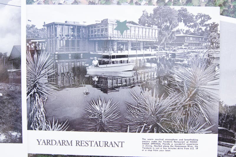 Monkey Island, Homosassa Florida Editorial Stock Photo Image of