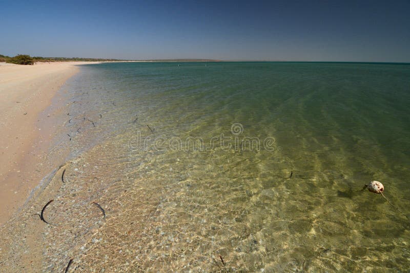 The beach at Monkey Mia. Shark Bay. Western Australia