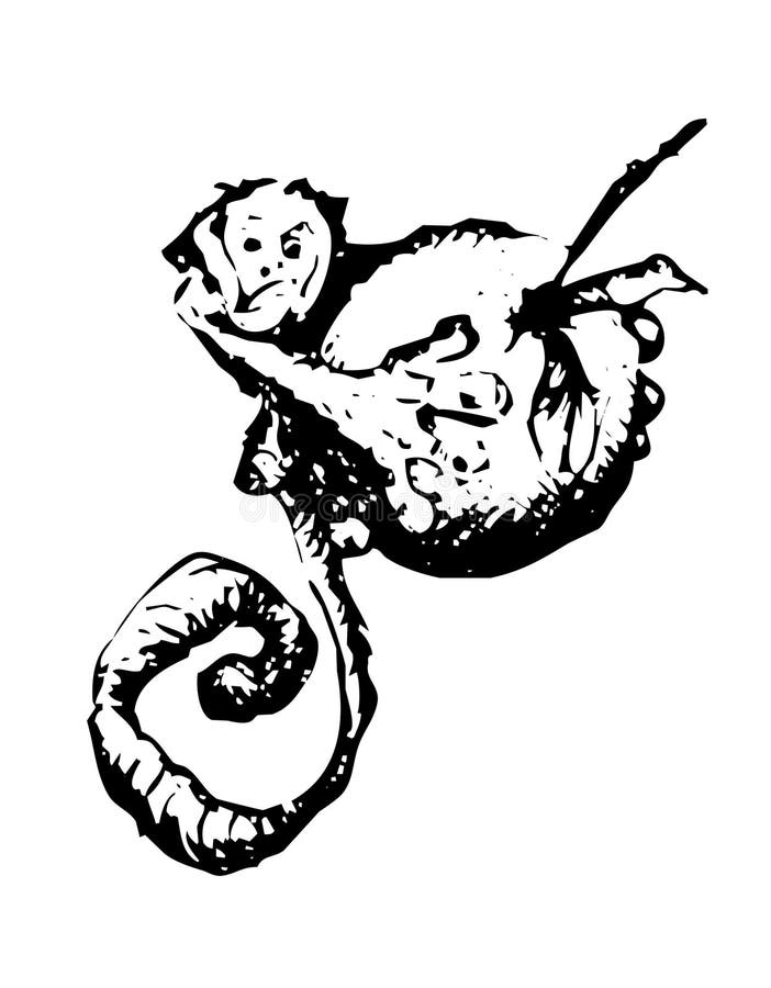 Orange Monkey Stock Illustrations 2,936 Orange Monkey Stock