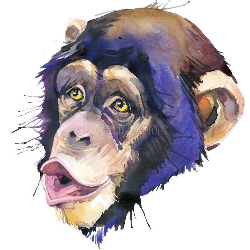 Ilustração Do Macaco Chimpanzé Ilustração Stock - Ilustração de estar,  reserva: 262269091