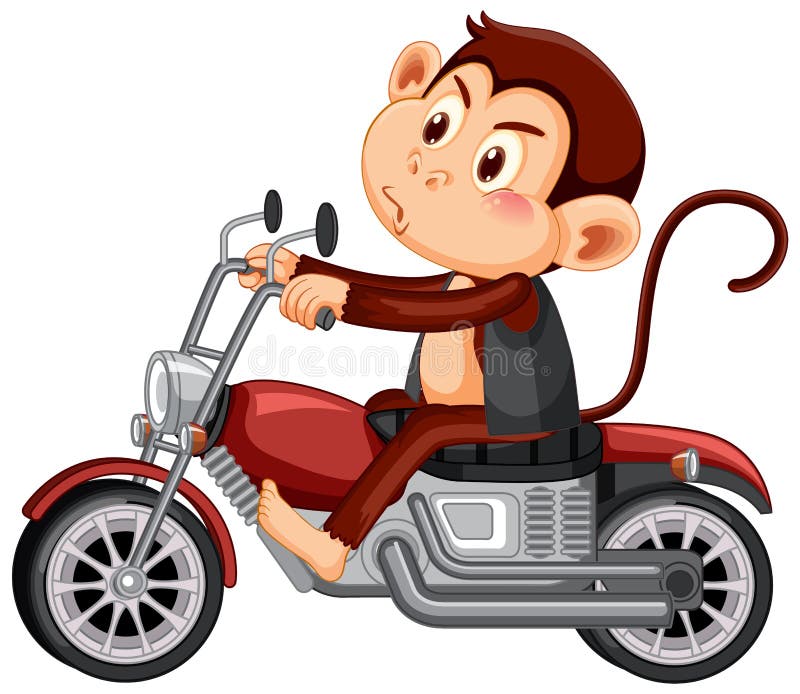 Monkey Rides Motorcycle Cartoon Character Stock Vector - Illustration of  animals, motorcycle: 234861102