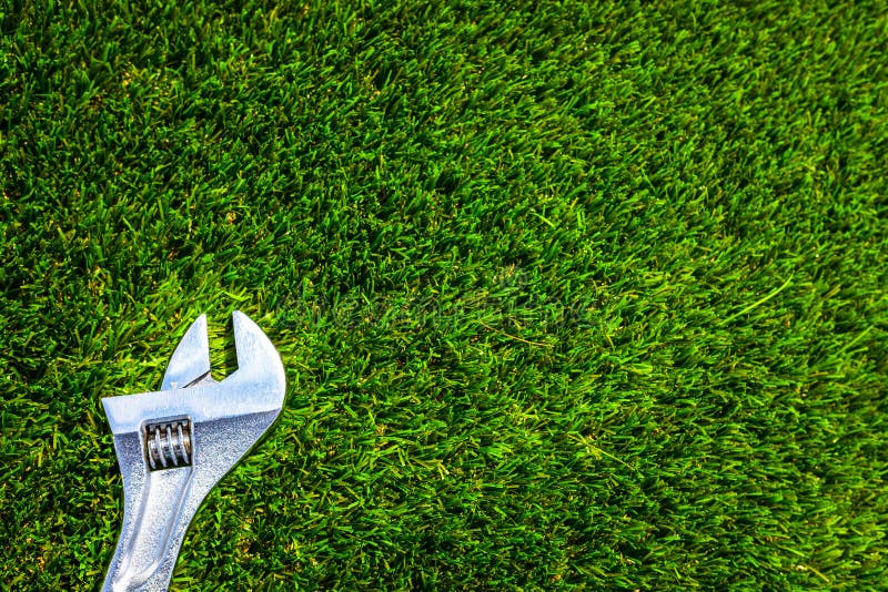 137 Monkey Grass Top View Stock Photos Free & RoyaltyFree Stock