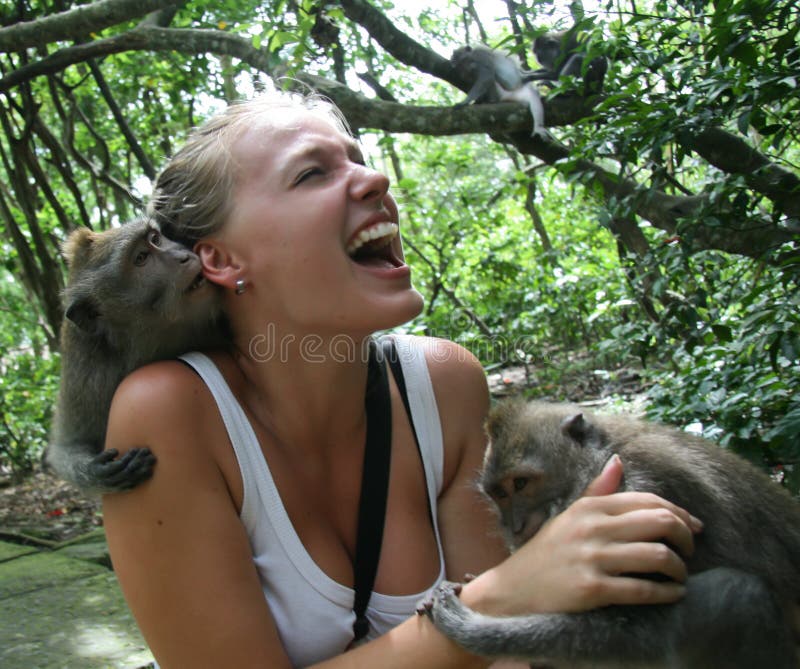 Monkeys that attacked the woman