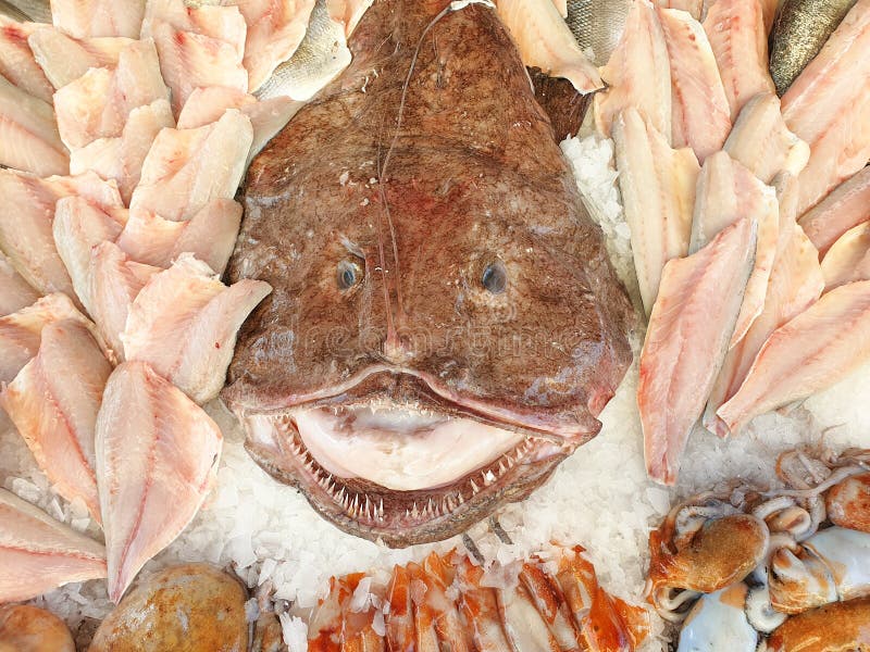 MagoGG's Blog • Stockfish level and its rating •