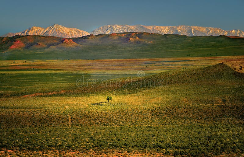 Mono Basin, Snow-Capped Mountains, California royalty free stock photography