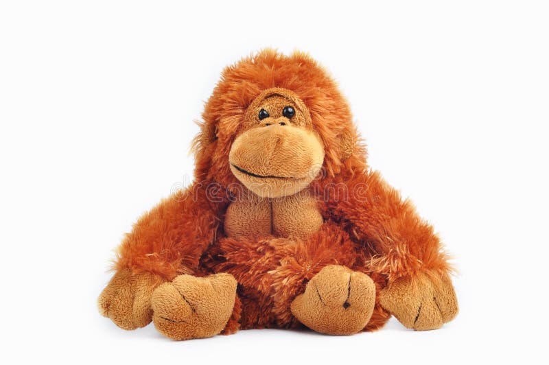 Plush toy monkey in white background. Plush toy monkey in white background