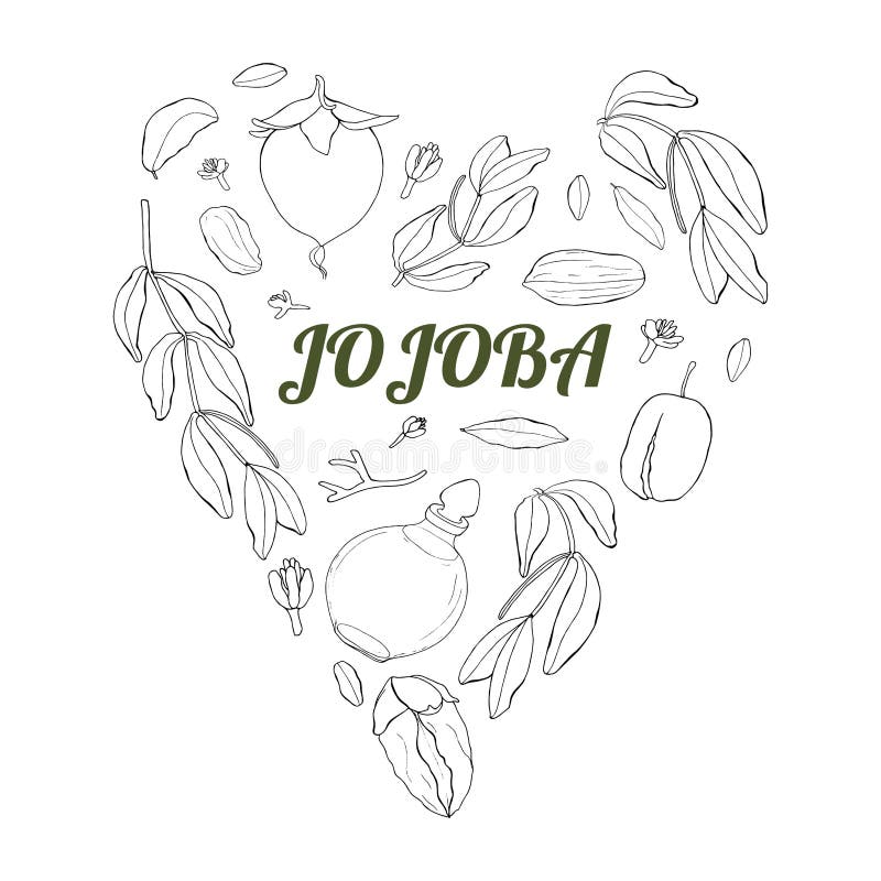 Monochrom de Gogoba ilustração royalty free Monochrom de Gogoba ilustração royalty free