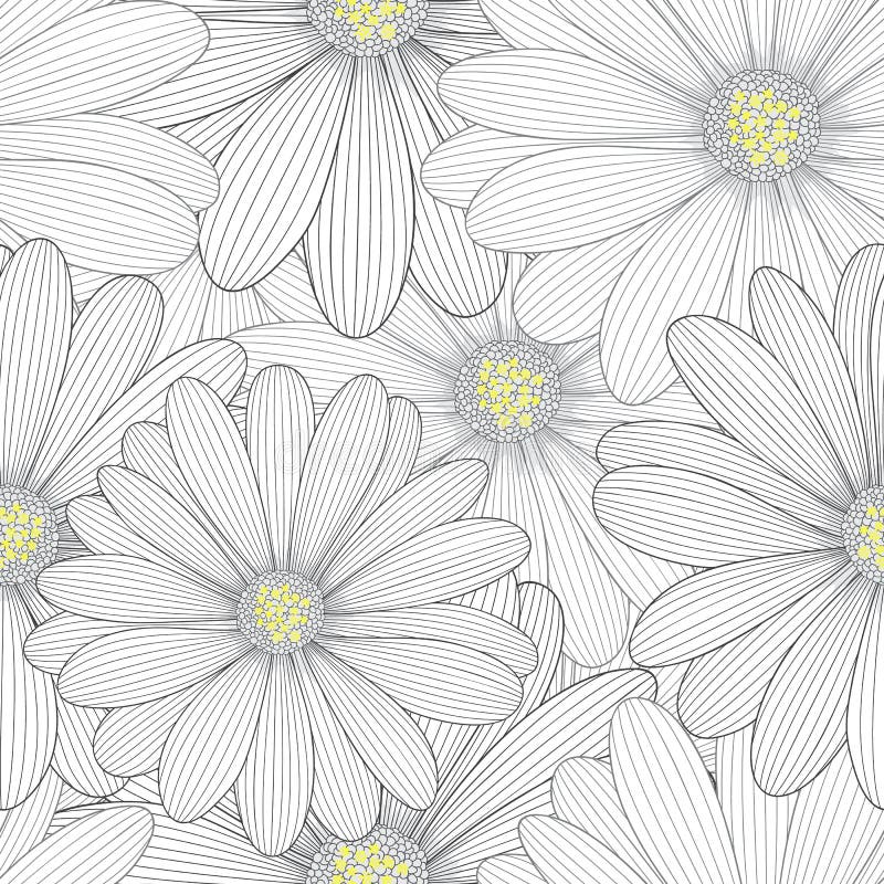 Monochromatycznego bezszwowego rysunku kwiecisty tło z kwiat stokrotkami ilustracji Monochromatycznego bezszwowego rysunku kwiecisty tło z kwiat stokrotkami ilustracji