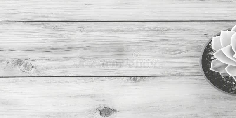 Monochromatyczny sukces w garnku na rustycznym białym tle ilustracji