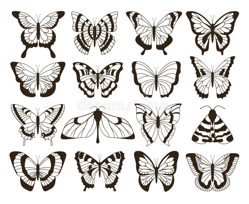 Monochrome Butterflies. Black and White Drawing, Hand Drawn Tattoo Shapes Vintage Collection Stock Vector - Illustration of collection, drawn: 141522741 Monochrome Butterflies. Black and White Drawing, Hand Drawn Tattoo Shapes Vintage Collection Stock Vector - Illustration of collection, drawn: 141522741