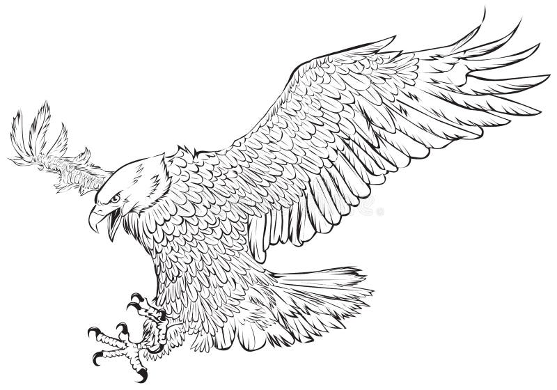 Monochrome da tração da mão da rusga da águia americana no vetor branco do fundo ilustração royalty free Monochrome da tração da mão da rusga da águia americana no vetor branco do fundo ilustração royalty free