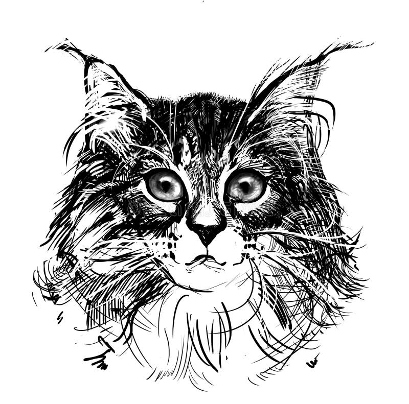 Monochrome Graphic Sketch with a Little Cute Fluffy Pet Kitten with Big  Beautiful Kind Eyes Stock Illustration - Illustration of kind, kitten:  172238937