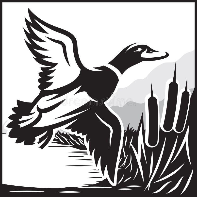 Monochrome illustration with flying wild duck over the water royalty free illustration