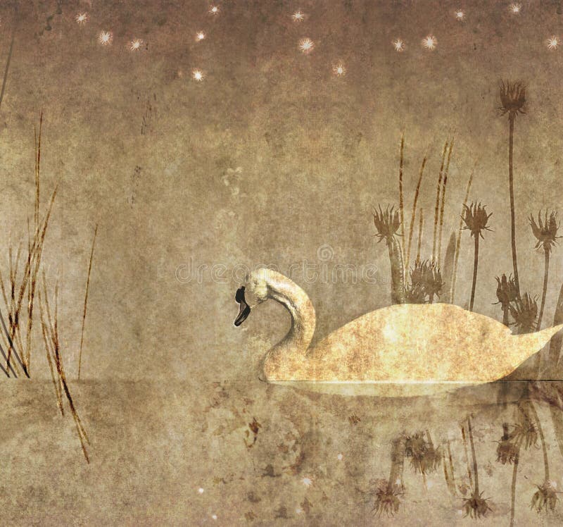 Monochrome illustration of a swan vector illustration