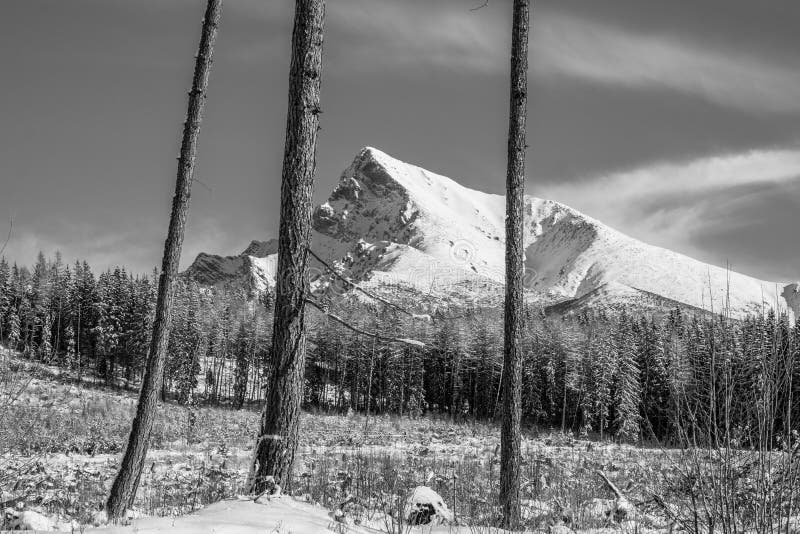 Monochromatický pohled na krajinu na horu Kriváň ve Vysokých Tatrách, Slovensko