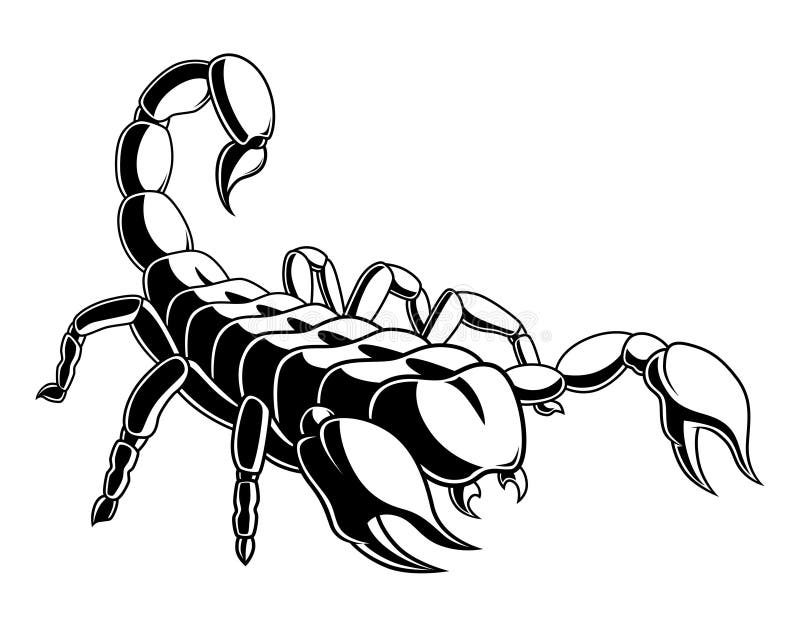 Scary Scorpion Stock Illustrations 300 Scary Scorpion Stock Illustrations Vectors Clipart Dreamstime Image from page 205 of zoological lectures delivered at the royal institution in the years 1806 and download this hand drawn pattern for coloring book zodiac scorpio vector illustration now. scary scorpion stock illustrations