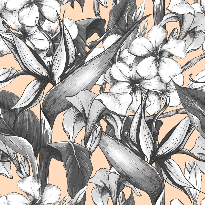 Monochrome seamless pattern with exotic flowers royalty free illustration