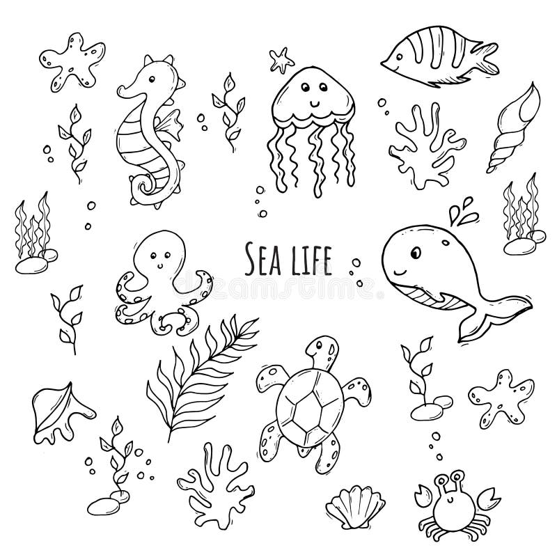 sea creature clipart black and white