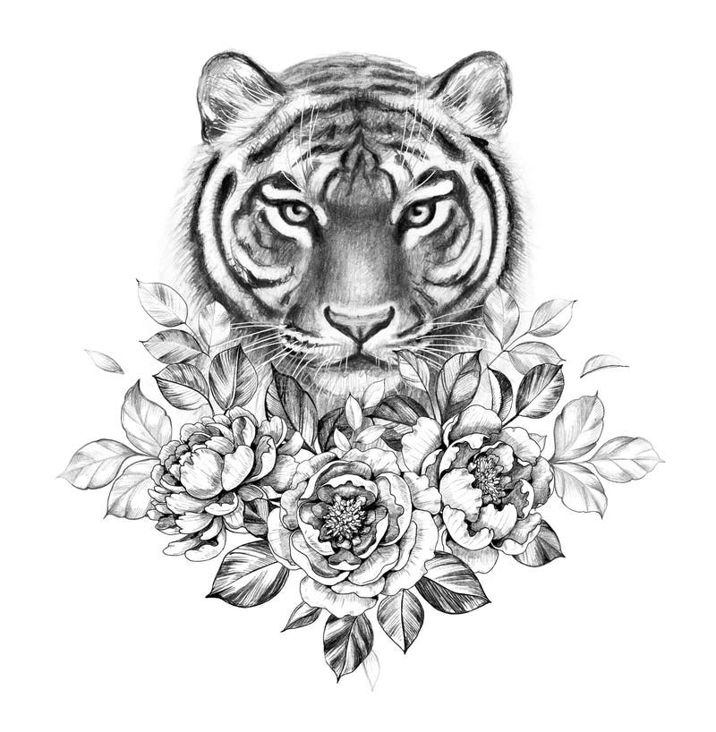 Monochrome Tiger with Peony Flowers Stock Illustration - Illustration ...