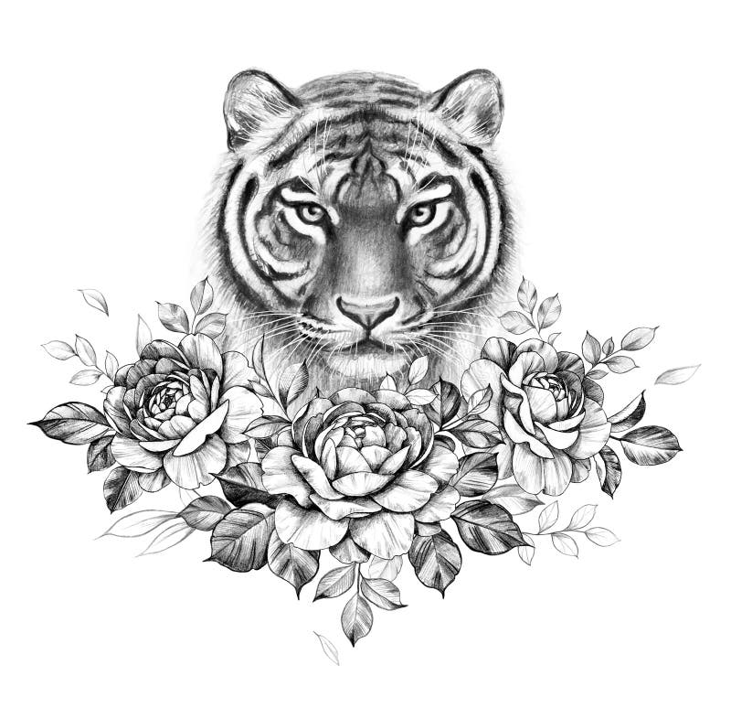 Monochrome Tiger with Rose Flowers Stock Illustration - Illustration of ...