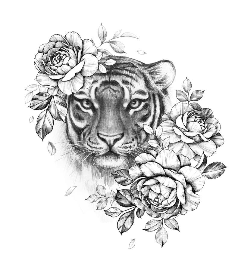 Monochrome Tiger Head Pencil Drawing Stock Illustration - Illustration ...